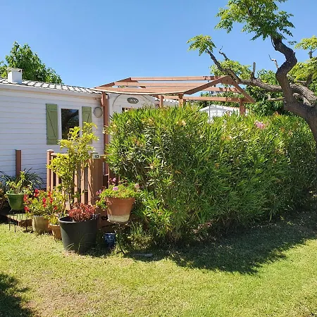 Kemping Bungalow